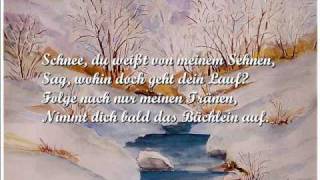 Wasserflut - Hannes Wader singt Schubert
