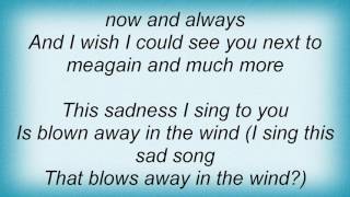 Ricky Martin - Almost A Love Song Lyrics