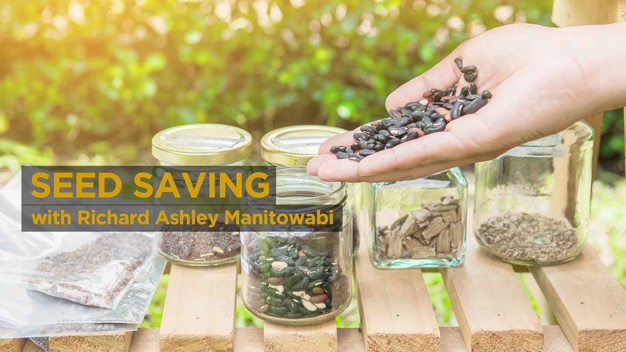 Seed Saving Workshop with Richard Ashley Manitowabi