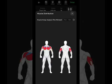 THYMOS: Gym Workout Tracker video thumbnail