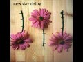 New Day Rising "Property Culture" - tadpole records New Day Rising "Property Culture"