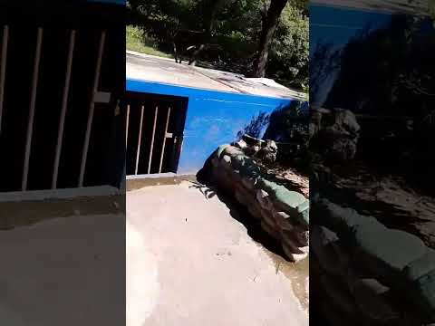 DESDE EL BALNEARIO ATATUPA EN ASUNCIÓN MITA JUTIAPA