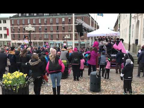 IBF Falun players celibrating with the hometown after the final