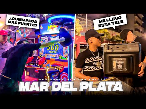 ON TOUR THE STREETS OF MAR DEL PLATA • THE BEAR HAS ARRIVED • MDS CLIPS