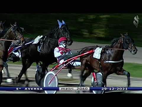 Aversa trotto 29 Dicembre 2021 - 5° Corsa