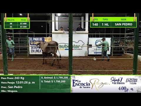 Subasta Virtual - Presencial San Pedro (E)1 14/01/2026