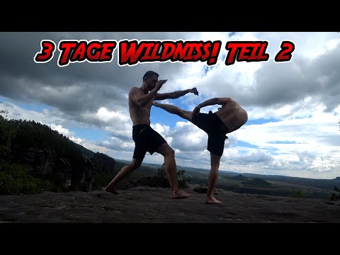 Fritz Meinecke wäre stolz auf mich! Kickboxender Schamane im Wald Teil 2