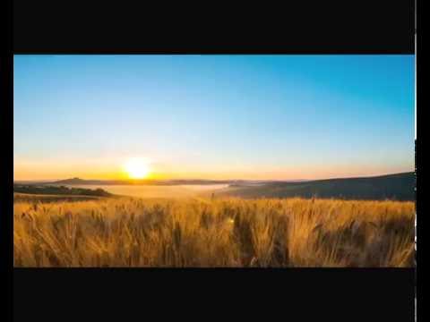 Tuscany (Italy) - Lonely Planet