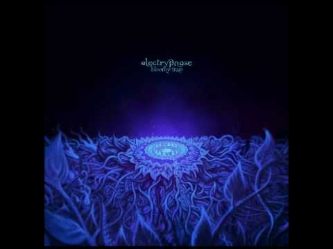 Electrypnose - Fulguropoing