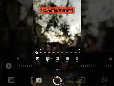 Vivo V25 pro Camera Photoshoot | Pro Mode Photography Tutorial |#shorts #shortvideo