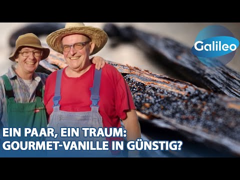 800€ pro Kilo? Wie Gewächshaus-Vanille die Preise revolutionieren könnte