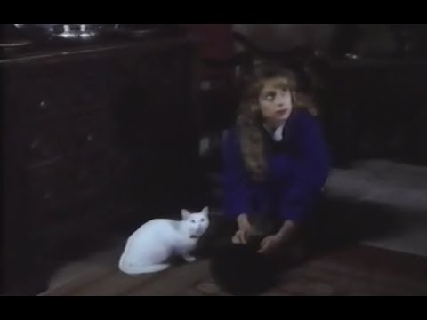 Vengeance with a Kiss (1991)