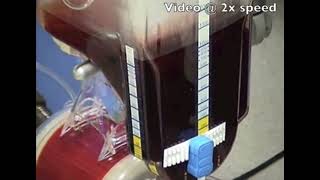 SUNY CPB Simulation DEMO