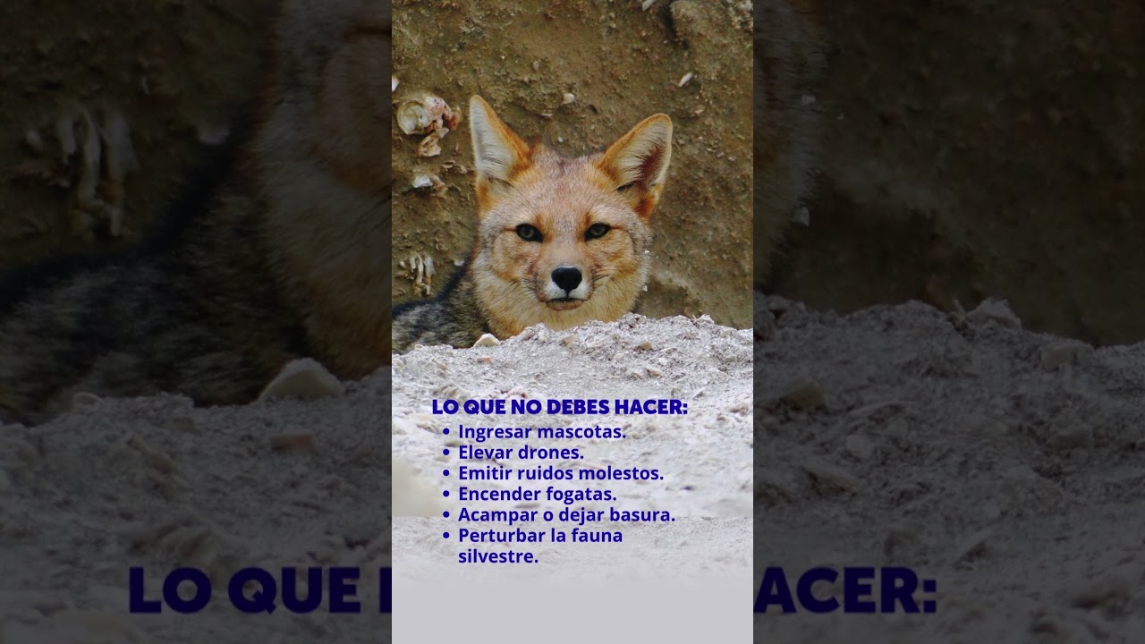 ¡Cuidemos el Monumento Natural La Portada!