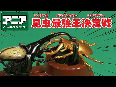 【公式】アニア おはなし『王者は誰だ！昆虫最強王決定戦！』【タカラトミーキッズ】おもちゃ | アニア | 昆虫バトルステージ | カブトムシ | クワガタ