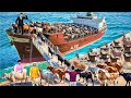 Ship Mein Cow Bakri Chor Illegal Transport Goat Thief Hindi Kahani Hindi Moral Stories Comedy Video