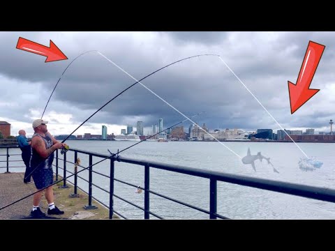 I CAN’T BELIEVE these FISH nearly PULLED OUR RODS IN!