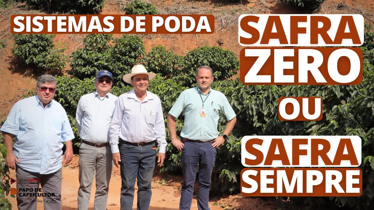 Safra ZERO ou safra SEMPRE, qual o melhor sistema de poda?