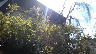 Huawei Ascend Y300 videotest