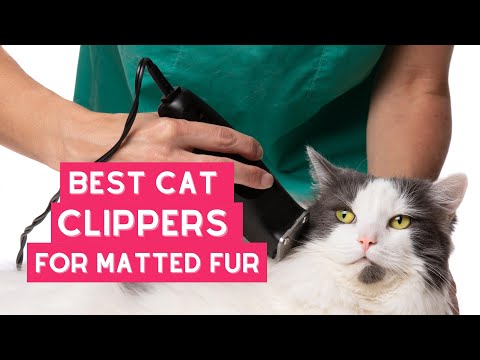 Best Cat Clippers for Matted Fur – Reviews and Comparisons