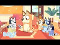 Bluey Bonus Bits Bluey