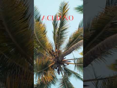 Big Ace - Reciprocate (Official Audio)