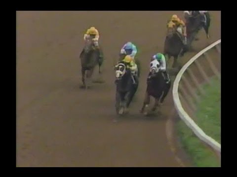 1991 Travers Stakes : ABC Broadcast
