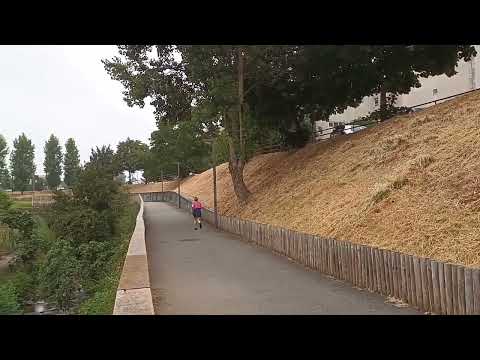 MORNING SWIM OF TINTO DUCKS.-PANKHURI SINHA IS A BILINGUAL POET, STORY WRITER AND TRANSLATOR