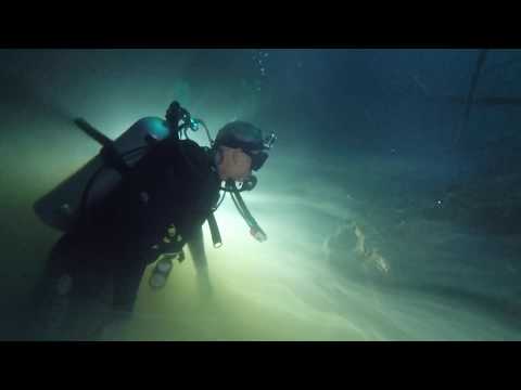 Tulum Diving I Cenote Angelita