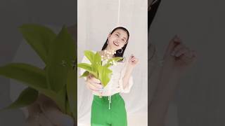 詩織ちゃん23歳のお誕生日おめでとう、いつも幸せでいてくれますように #乃木坂46 #久保史緒里