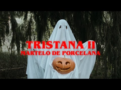 Stereossauro feat. Ana Magalhães - Martelo de porcelana - (Visualizer)