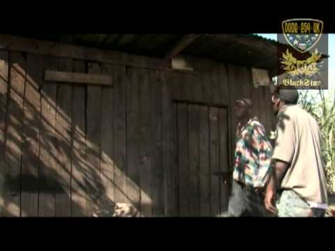 bongo la biashara -- Juakali, Mejja HD