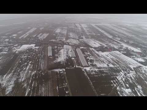 Racaciuni 2018-2019 2