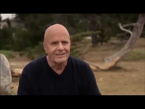 El Cambio  Wayne Dyer The Shift 🎬 Película Completa