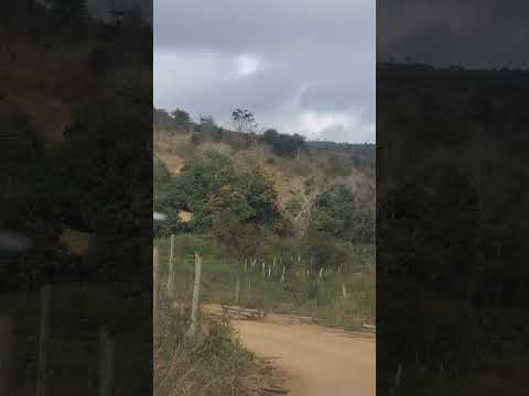 MONTE FORMOSO MINAS GERAIS
