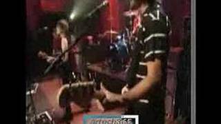 The Vines - Animal machine ( $2 Bill Concert )