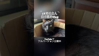 【休日Vlog】あえて休む筋トレオフ！体を労わり明日への英気を養う最高の休日｜29歳社会人 自分磨きVlog#自分磨き #朝活 #モーニングルーティン #vlog #愛媛県松山市