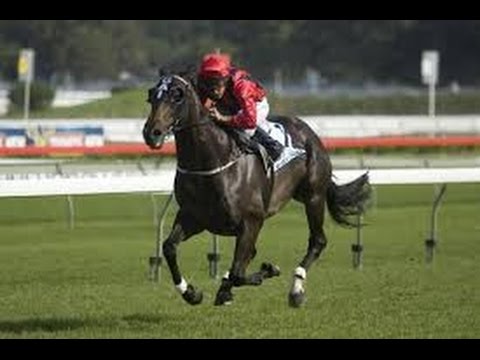 2005 ATC Epsom Handicap Day _ Desert War / Turnbull _ Makybe Diva