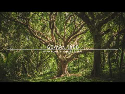 Nación Ekeko - El Ritmo de la Selva