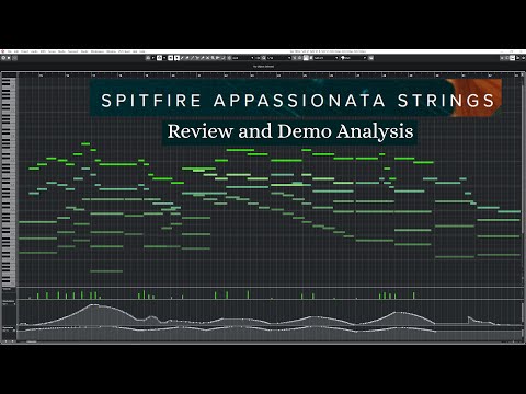 Spitfire Appassionata Strings Review and Demo Analysis