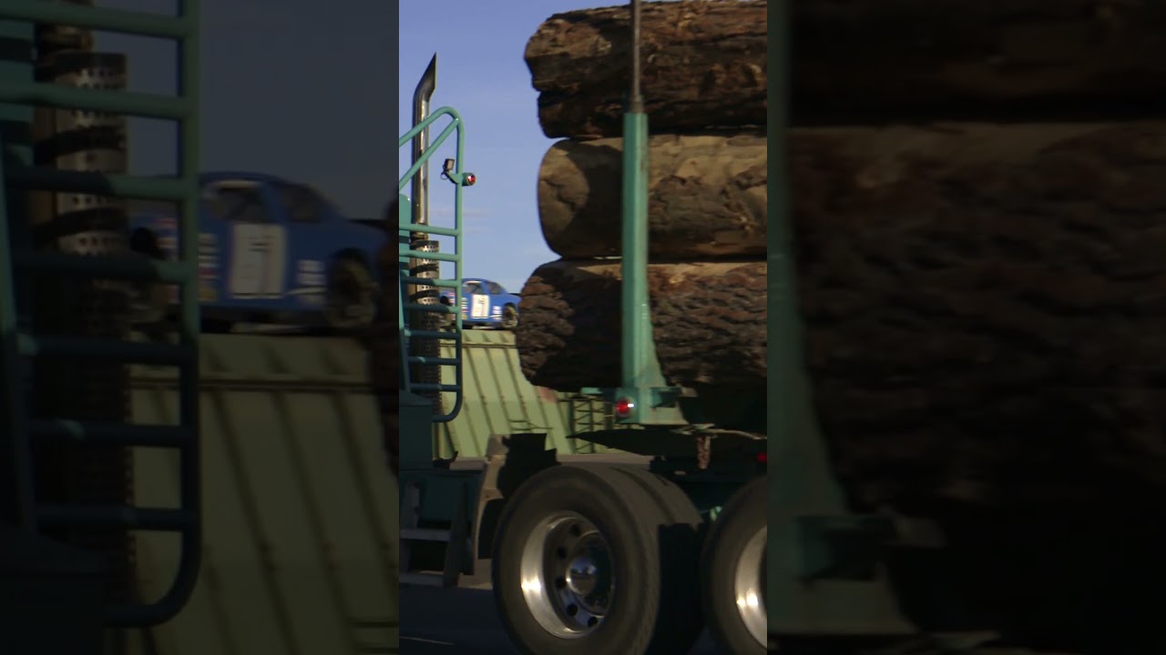 Caring for the land after the fire