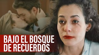CÓMO LOS NEGOCIOS DESTRUYERON A MI FAMILIA | BAJO EL BOSQUE DE RECUERDOS