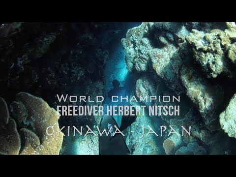 Freediver Herbert Nitsch - Okinawa