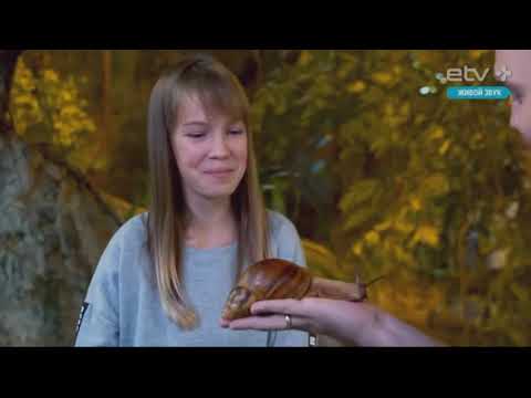 Bravo 2018 Redkoslavina Anastasija