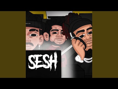 Sesh (feat. 24krec)