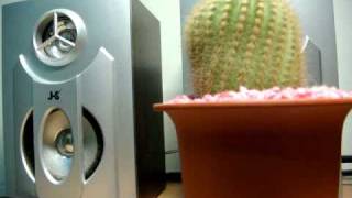 Mr. 仙人掌- 劉畊宏-幸福的距離