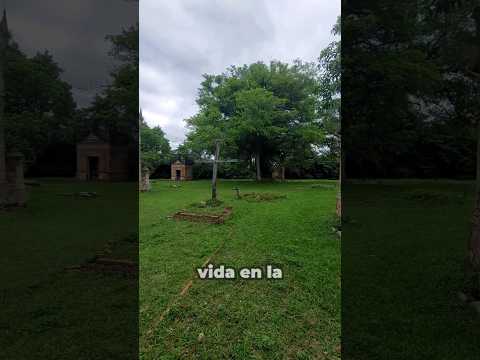 RECORRO el CEMENTERIO ANTIGUO de San Cosme (Corrientes) #sancosme #corrientes  #turismocorrientes