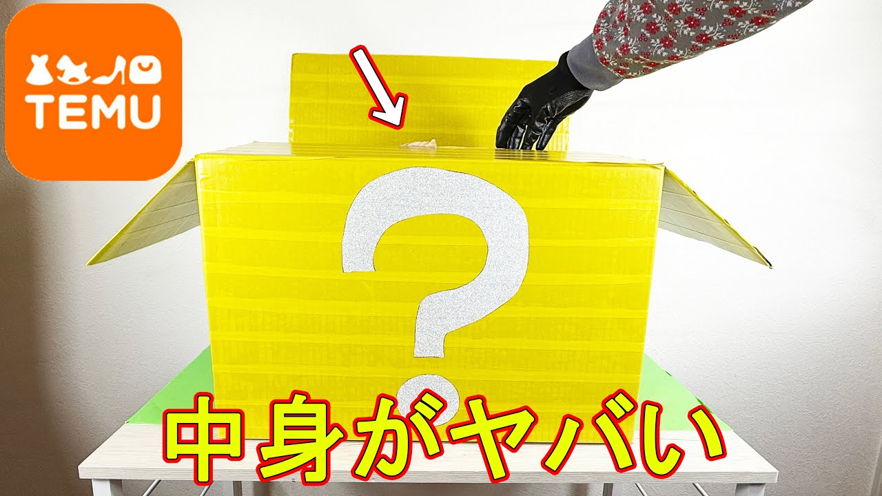 TEMUから届いた謎の５万円のミステリーBOXを開封した結果