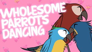 Wholesome Parrots Dancing Meme Animatedmau Fimfiction Wholesome Parrots Dancing Meme Animatedmau Fimfiction