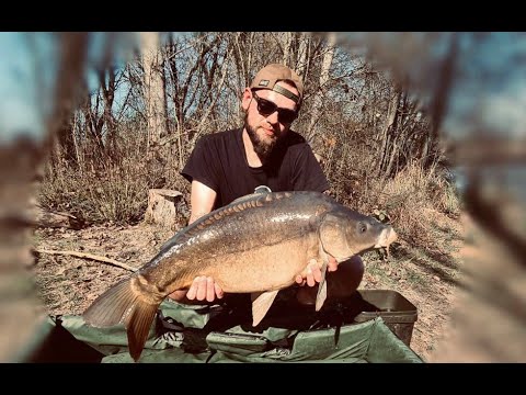 Futtertipps fürs Karpfenangeln im Frühjahr